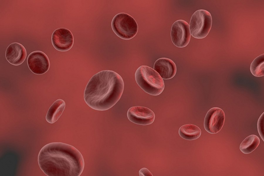 Haematologica: лечение гепатита может предотвратить развитие распространенного рака крови