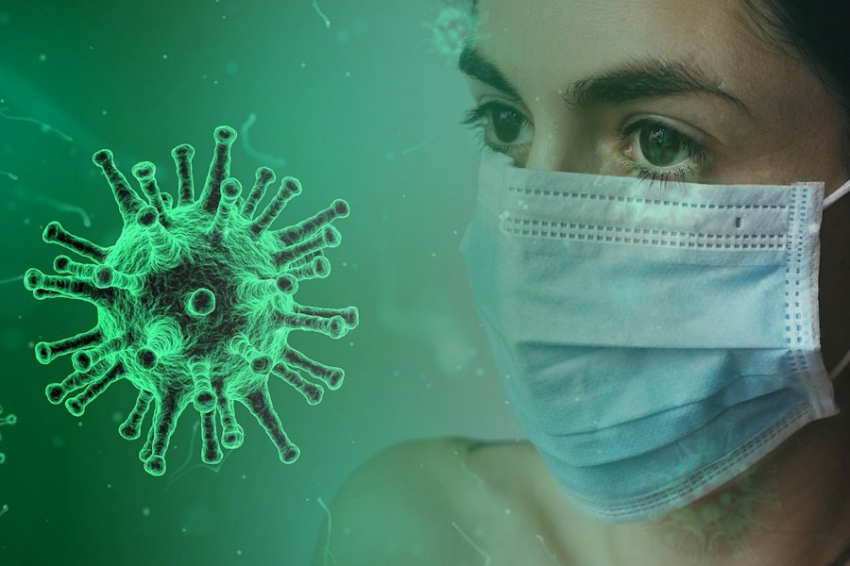 Учёные получили из грибов Aspergillus препарат от COVID-19