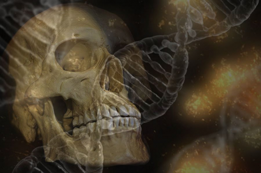 Язык неандертальцев отличался от языка современного человека отсутствием метафор