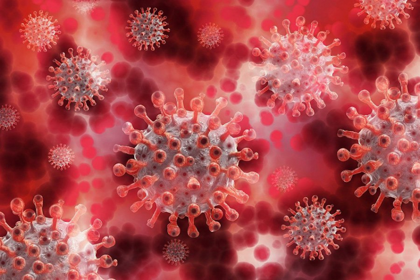 Исследователи получили подробную картину процесса заражения SARS-CoV-2