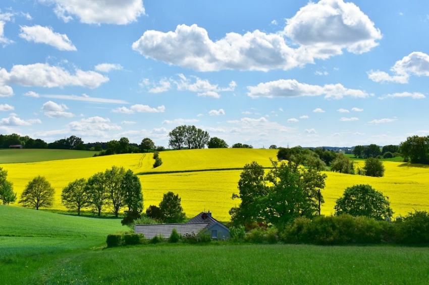 Погоду можно будет покупать и продавать