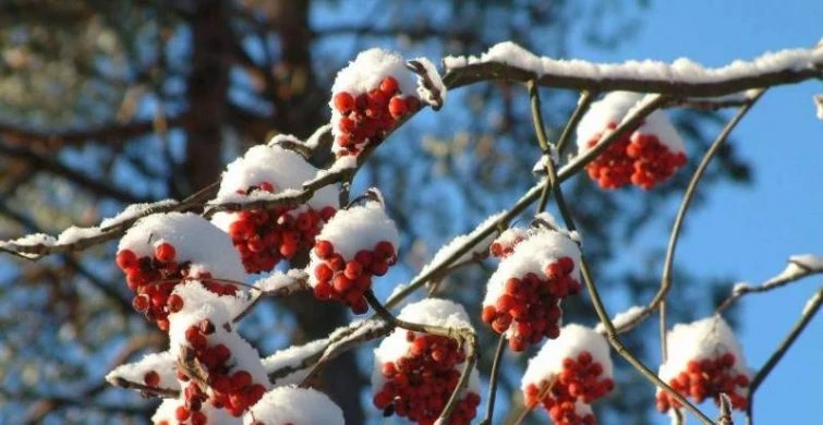 Важные дела и запреты в праздники 22 декабря 2024 года по народным приметам