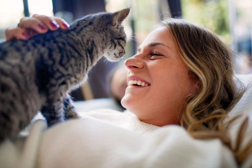 По каким признакам понять, что кошка вас действительно любит
