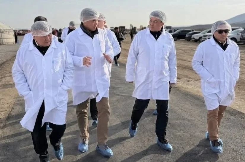 В Тонском районе открыли новое предприятие «Кыргыз бройлер»