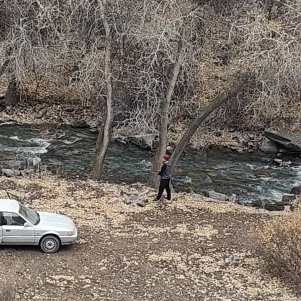 В Таласской области выявлены экологические нарушения