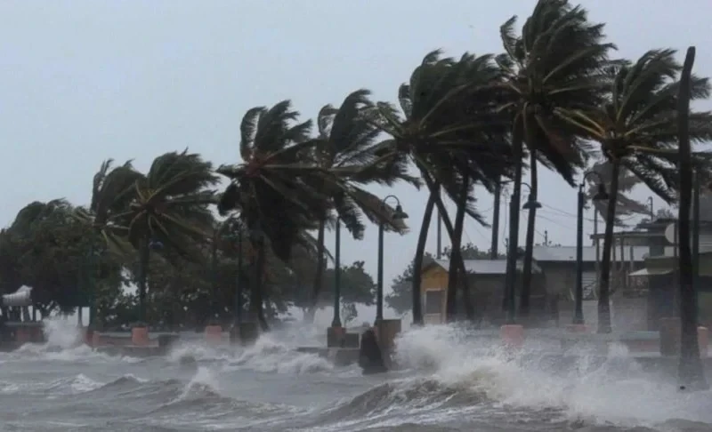 Шторм «Мелисса» на Ямайке: людей предупредили о крокодилах