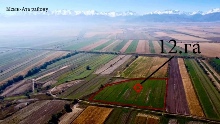 В Иссык-Ате на баланс государства возвращено 226 га земель