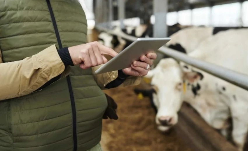 Кабмин перенес сельскохозяйственную перепись на следующий год