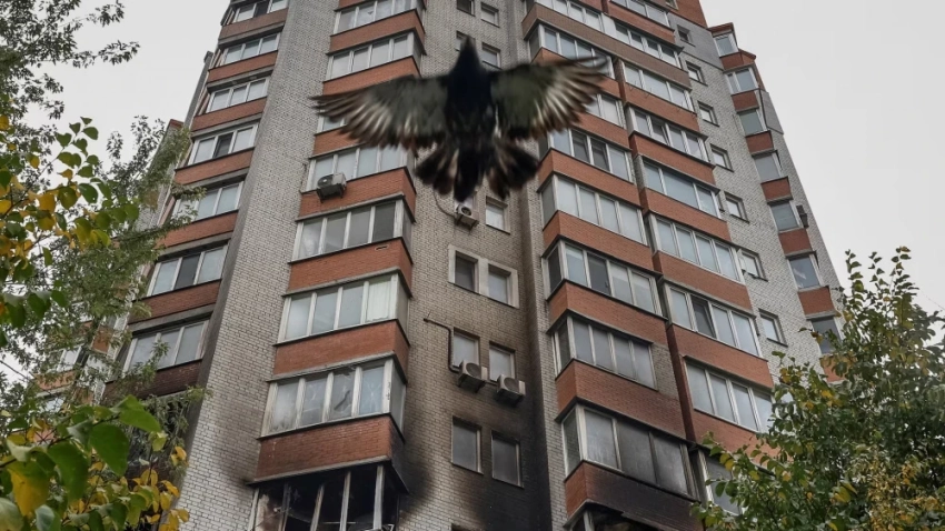 События в Украине и мире. Главное к утру 29 октября