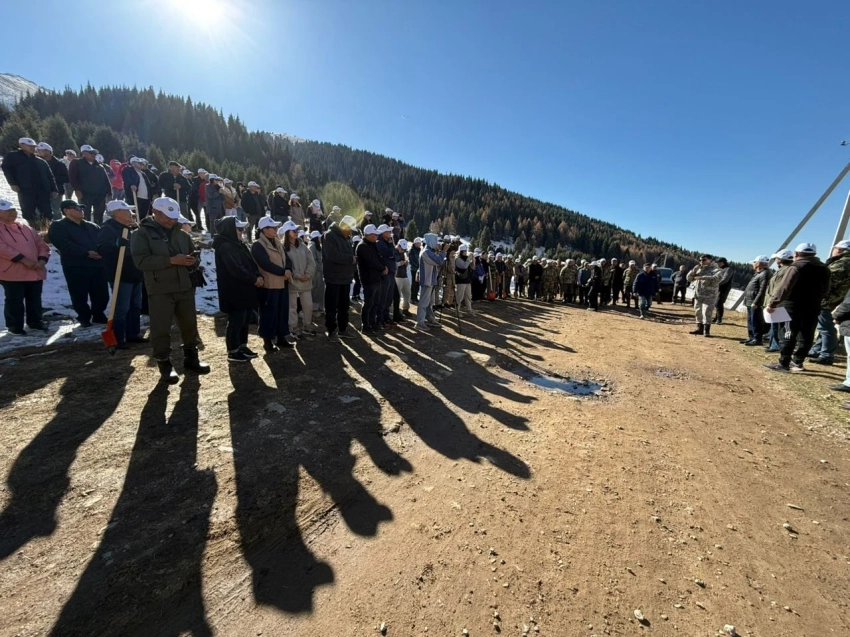 «Жашыл мурас»: в Чон-Кемине высадили 2 тысячи саженцев березы