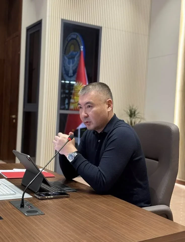 Госуправление автошколами: новый шаг к снижению аварийности на дорогах