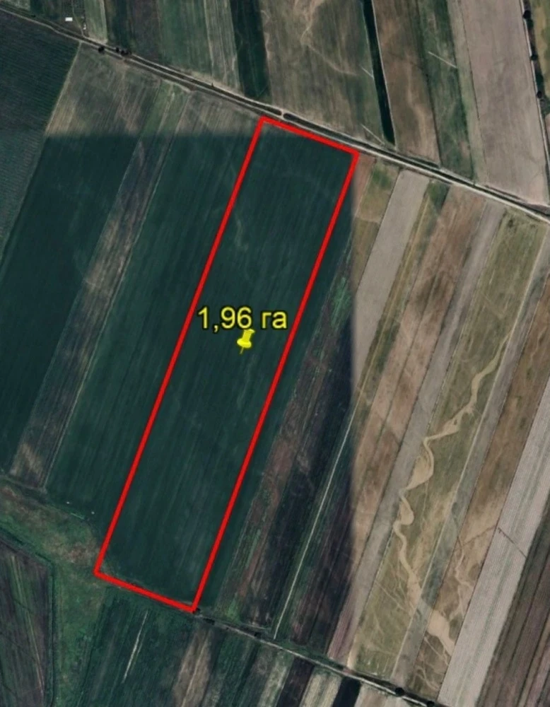 ГКНБ вернул государству земельные участки в Чуйской области