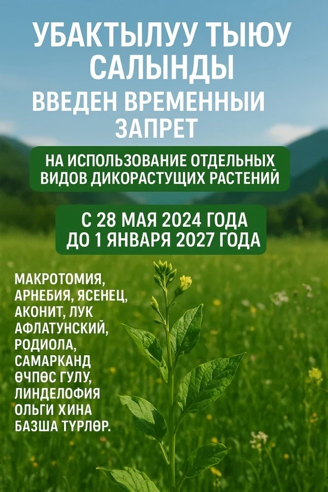 Минприроды приостановило выдачу разрешений на заготовку некоторых растений