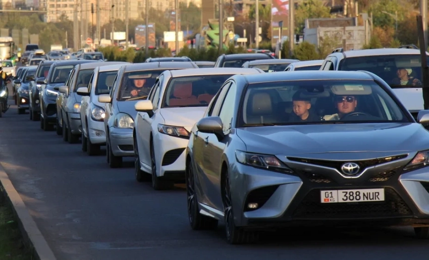 Обучение вождению 14 месяцев: Туманбаев рассказал о стоимости курсов