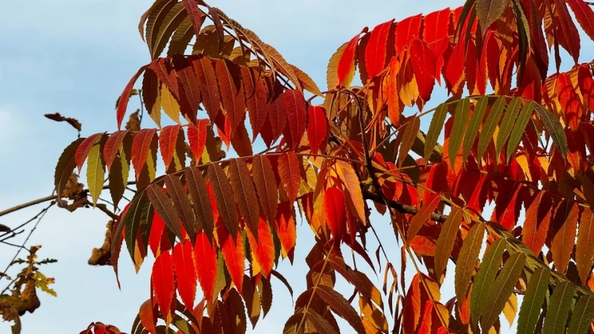 В ближайшие три дня в Казахстане снова потеплеет