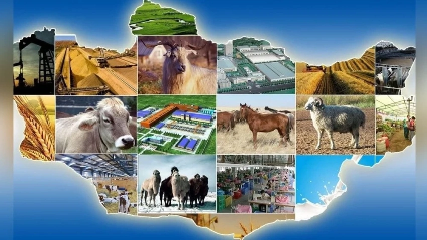 Кабмин поручил министру продовольствия и сельского хозяйства обеспечить стратегические резервы