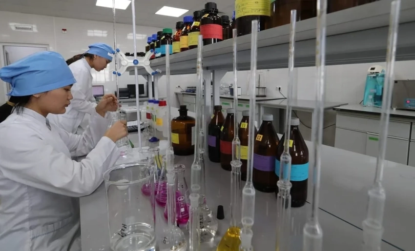 День науки в Кыргызстане: вклад и достижения