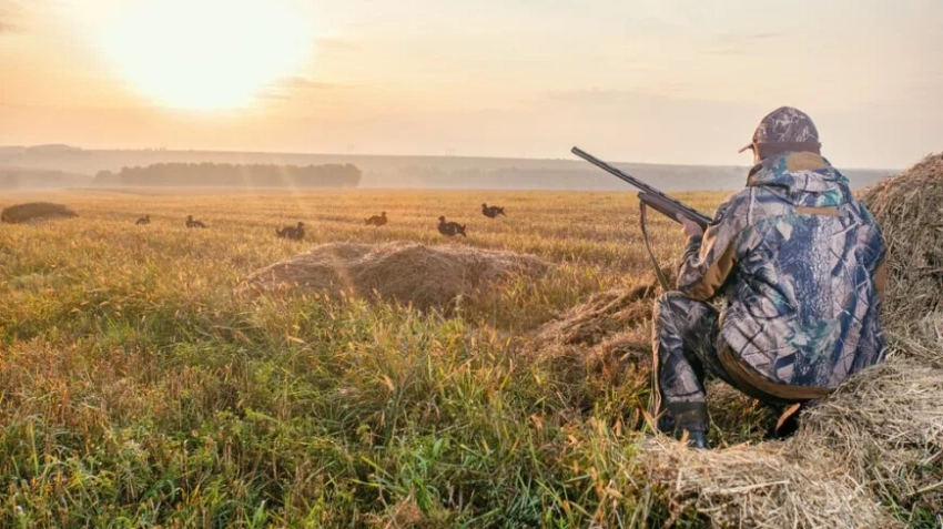 Минприроды Кыргызстана напомнило о правилах охоты и штрафах за браконьерство