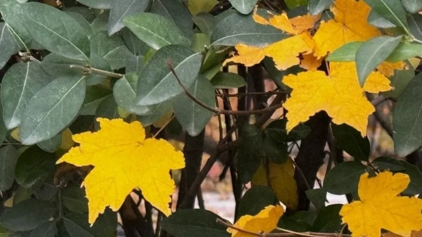 В Казахстане в выходные будет без осадков