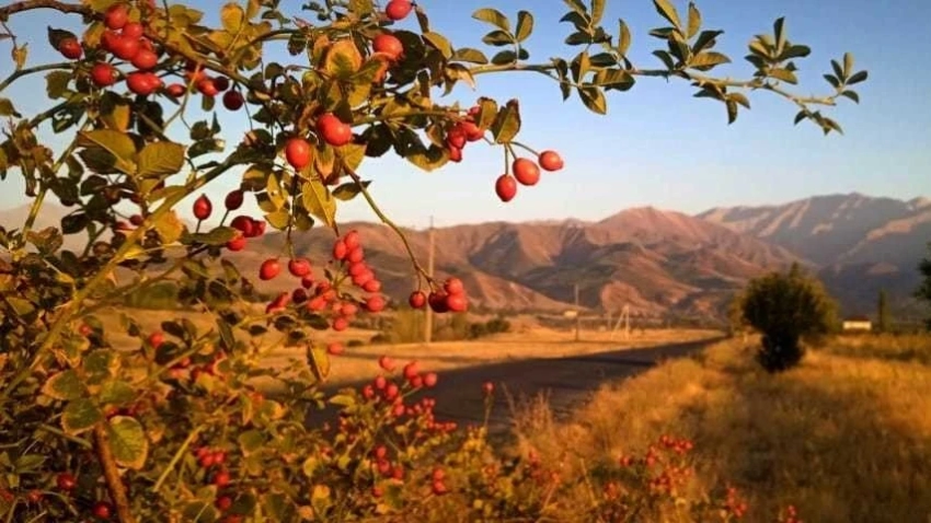 Прогноз погоды по Узбекистану на 16 ноября