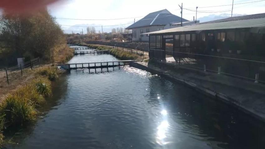 В некоторых рыбоводческих хозяйствах Таласской области выявили нарушения