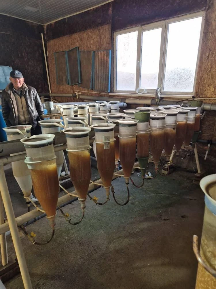 В Кыргызстане искусственно воспроизводят рыбные запасы