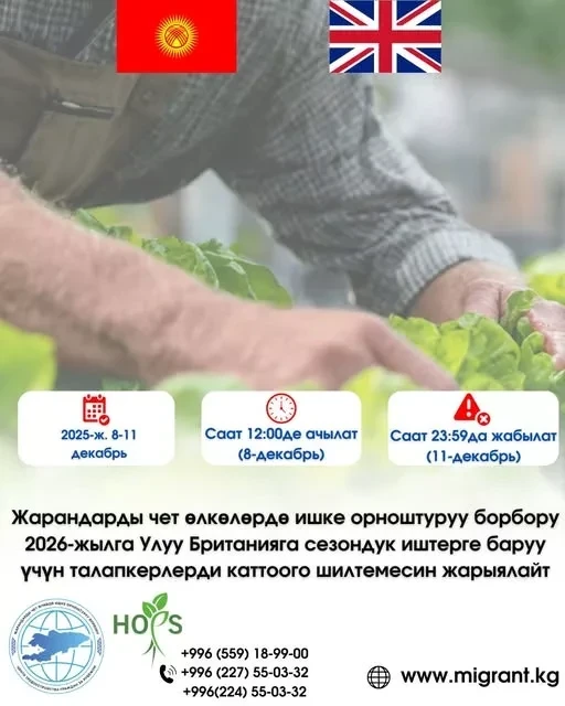 В Кыргызстане открывается онлайн-регистрация на сезонные работы в Великобритании с HOPS