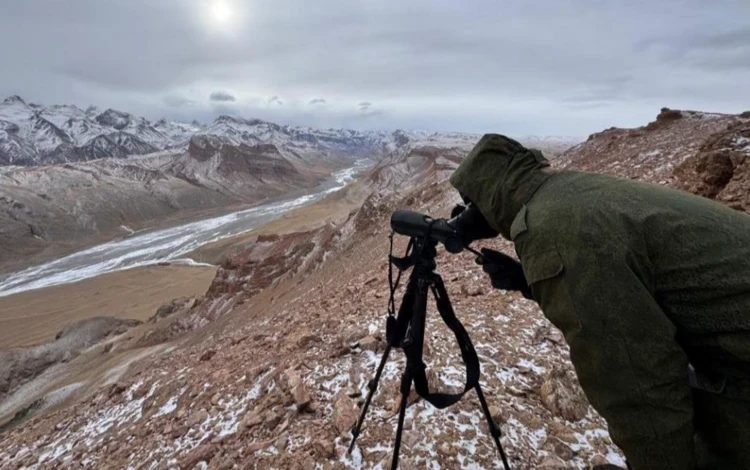 В Кыргызстане начался подсчет архаров и горных козлов