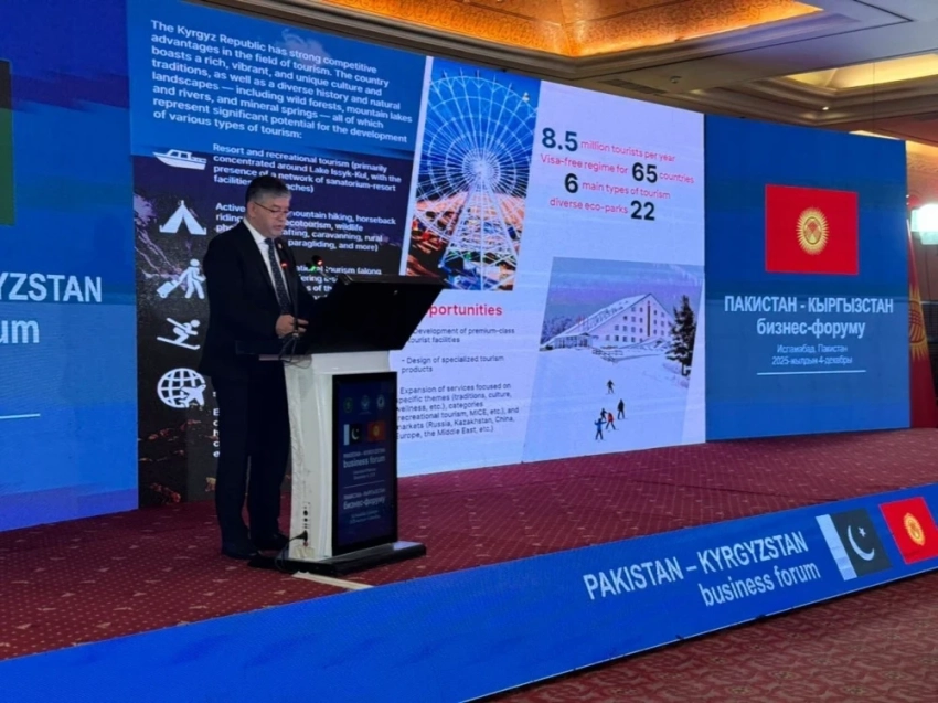 Кыргызстан и Пакистан планируют расширять совместные инвестиционные проекты
