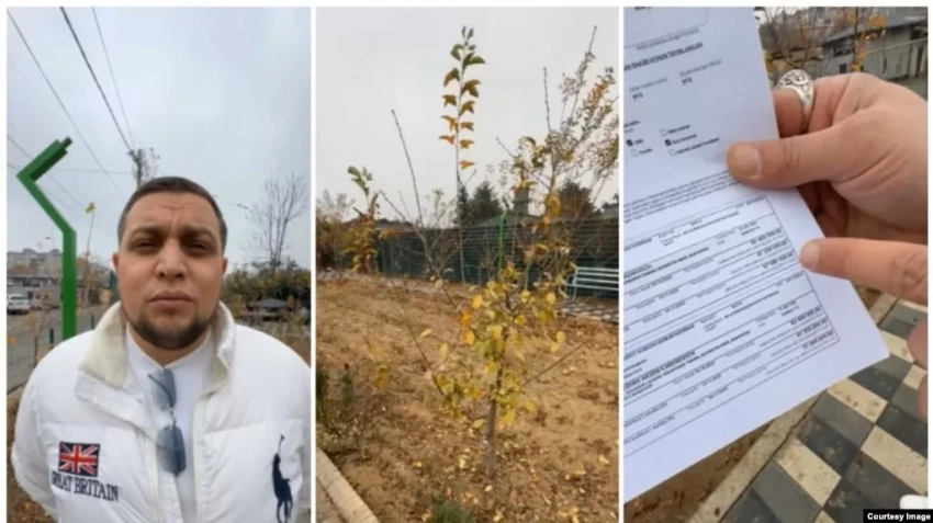 Суд в Ташкенте оштрафовал мужчину почти на $7 тысяч за превращение пустыря в зелёную зону