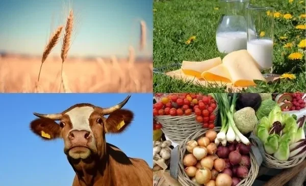 Экспорт кыргыз продукциясы ылдамдатууда