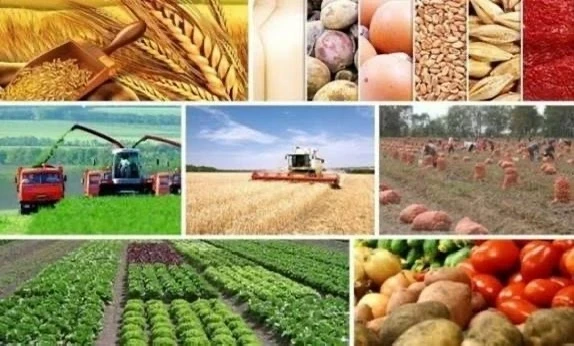 Results of the Development of the Agro-Industrial Complex of the Kyrgyz Republic for 2025: Numbers and Facts