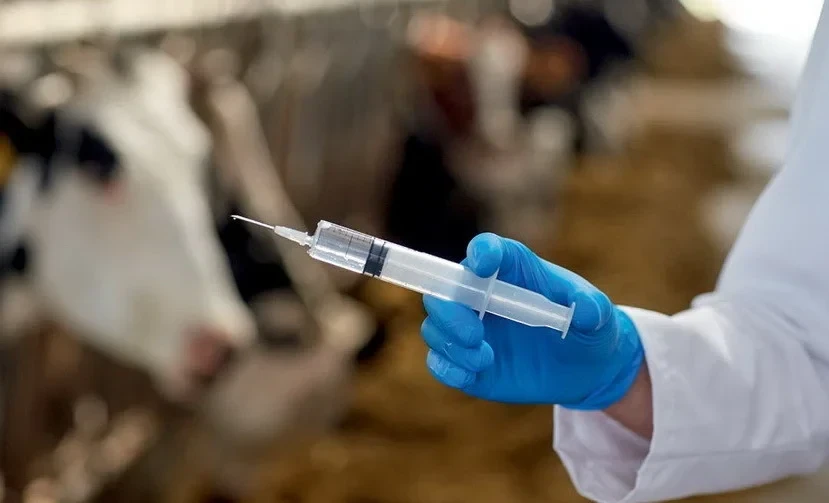 In 2025, veterinary activities covered more than 25 million heads of livestock