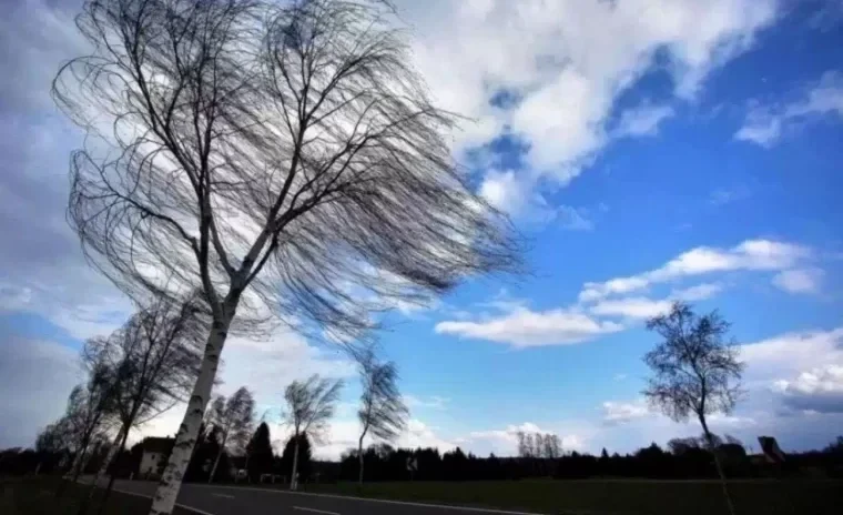 Күчтүү шамал Бишкек жана Чүй облусунда күтүлүүдө