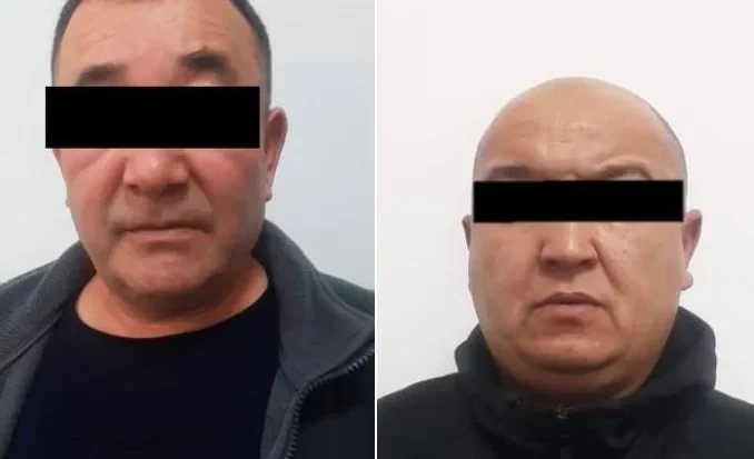 A case of illegal vehicle registration has been opened in the Chui region.