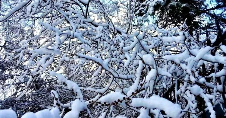 Snow is expected in Bishkek. Weather forecast for January 15-18