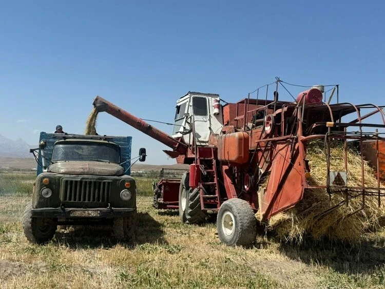 Crop losses, livestock growth. How farmers in Kyrgyzstan finished the year 2025