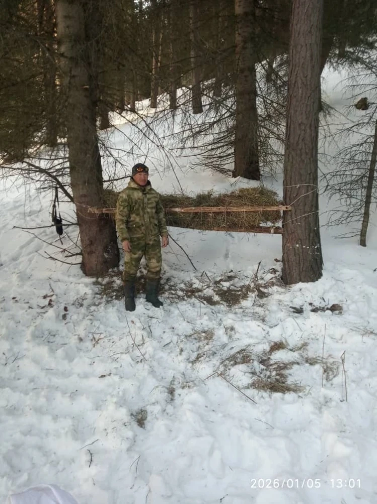 In Chon-Kemin Park, rangers record the emergence of roe deer at feeding sites
