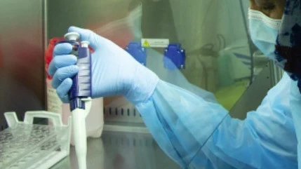 Индия борется со вспышкой смертельного вируса Нипах