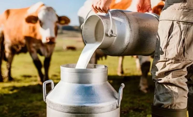 In three regions of Kyrgyzstan, milk prices were compared. Where is it the most expensive?