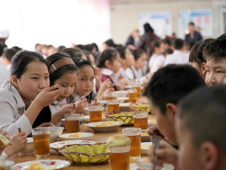 Healthy Habits and Contribution to Education. WHO on School Nutrition Standards