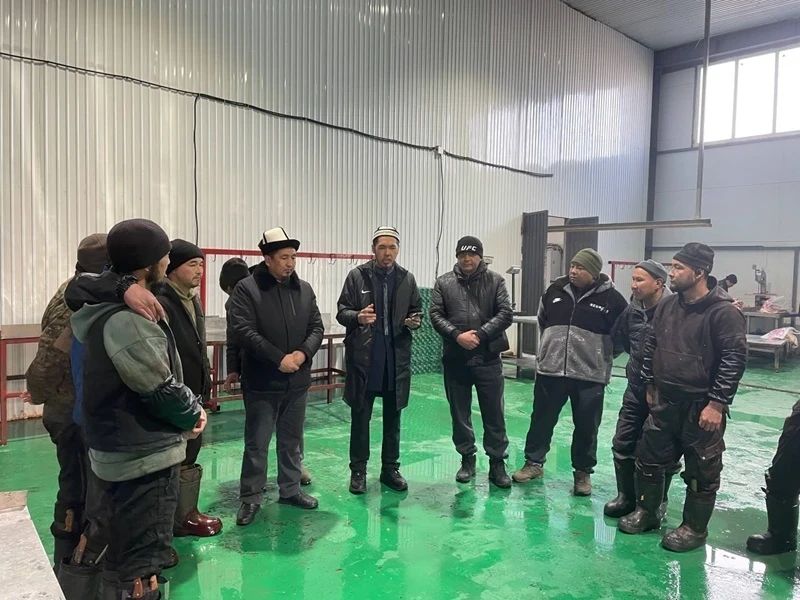 At the new livestock market in the suburbs of Bishkek, the rules of slaughter according to Sharia were explained