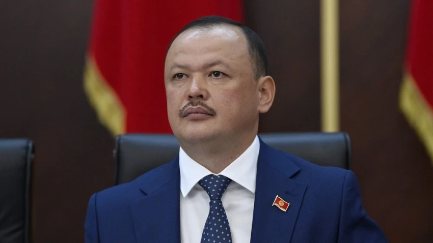 Лошади, змеи, кролики Жогорку Кенеша и гороскоп от ИИ