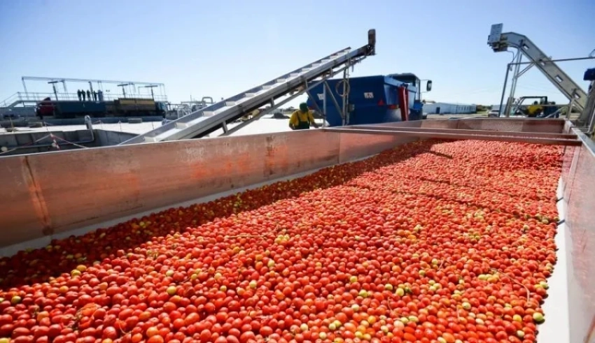 Өнөр жайды кайра иштетүү тармагында 11 айда өндүрүштүн өсүшү 19% түздү