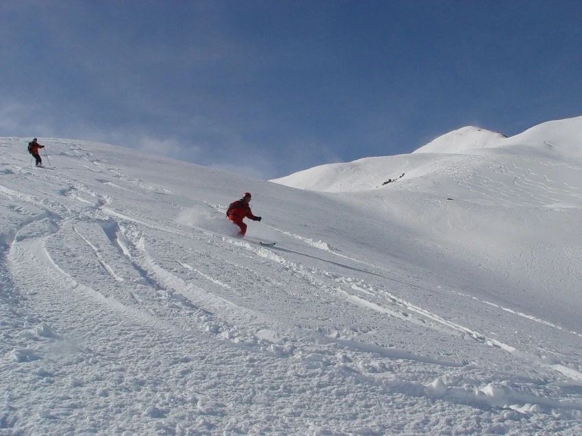 Дүйнөдө классикалык төрт мезгил жок, деп билдиришти илимпоздор