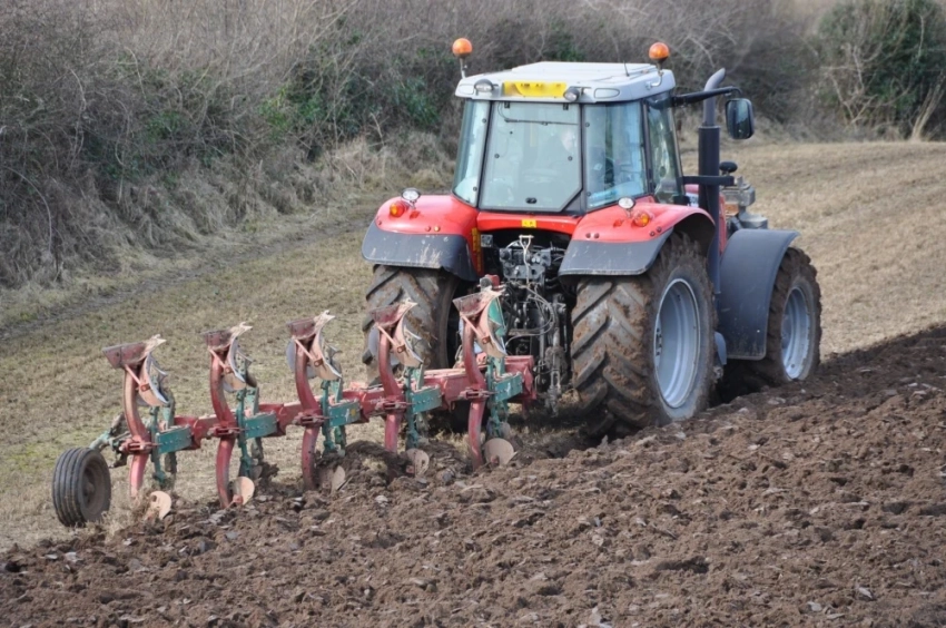 Кытай Евразия аймагындагы инвестицияларды агросектордун пайдасына диверсификациялоодо
