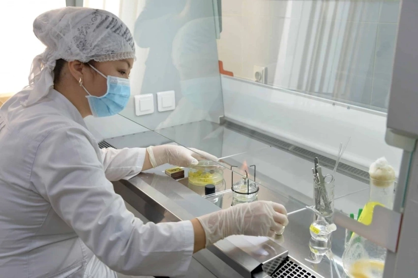 Россиядан алып келинген картошка фитосанитардык бузулуулардын себебинен кайтарылды