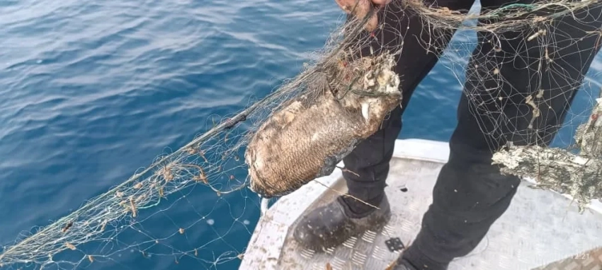 Иссык-Куль облусунда рейд учурунда 300 метр балык уулоочу торлор алынган