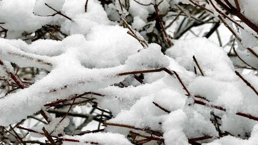 Severe Frosts and Blizzards Expected in Kazakhstan