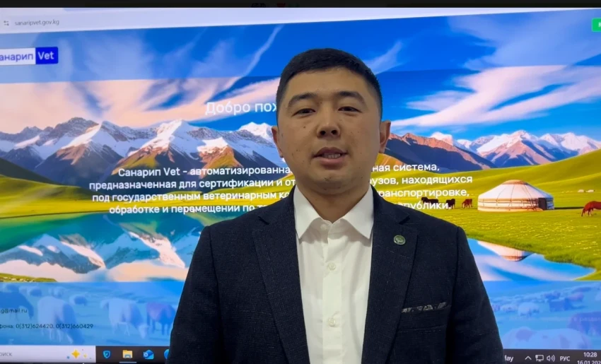 Digitalization in the Veterinary Industry: the "Sanarip VET" System